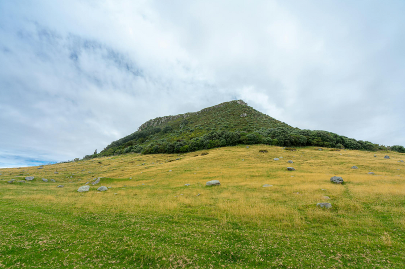 Te Mata Peak