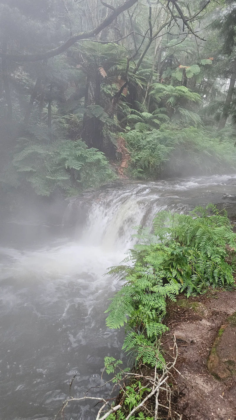 Kerosene Creek
