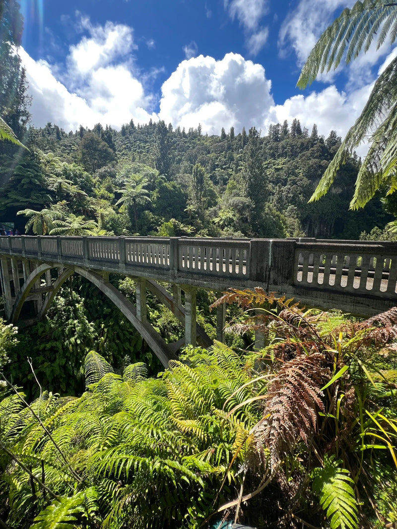 Bridge to Nowhere