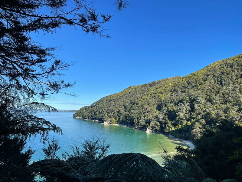 Abel Tasman