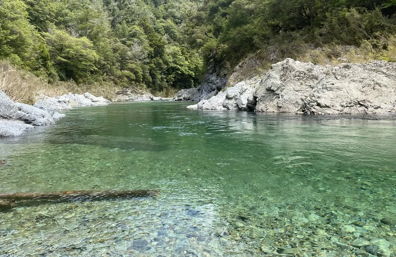 Pelorus River