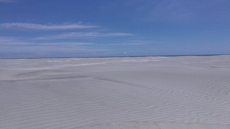 Farewell Spit