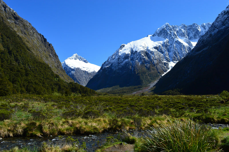 Routeburn Track