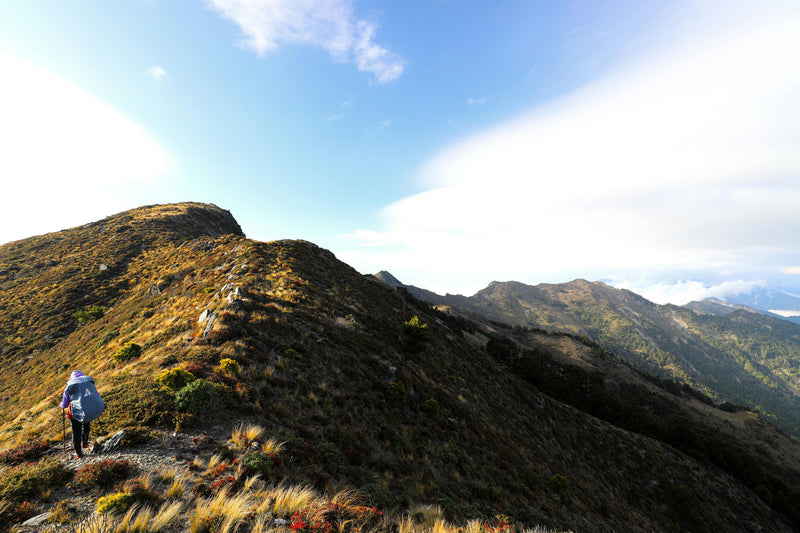 Kepler Track
