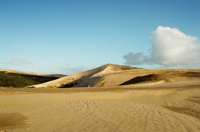 Te Paki Dunes