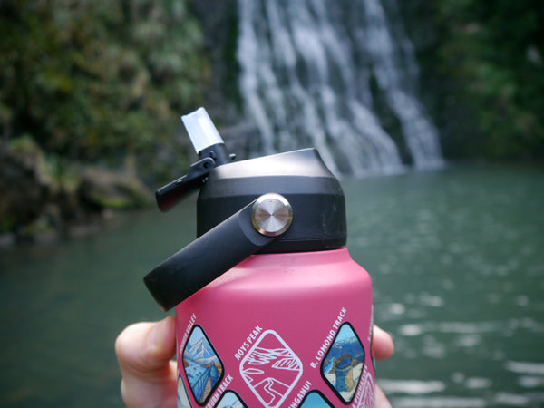 New Zealand Explorer Bottle - Replacement Straws x2 + Lid