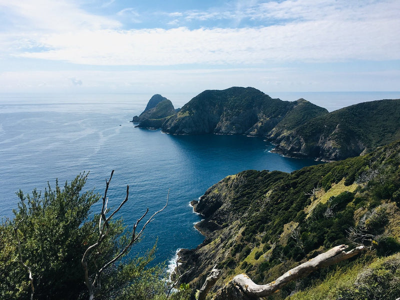 Bay of Islands