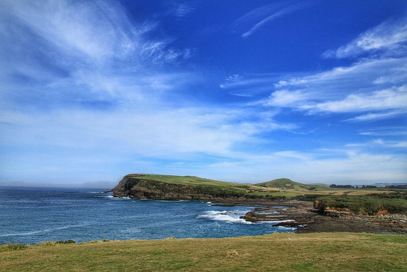 Curio Bay