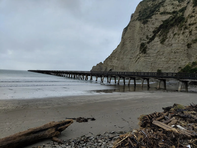 Tolaga Bay