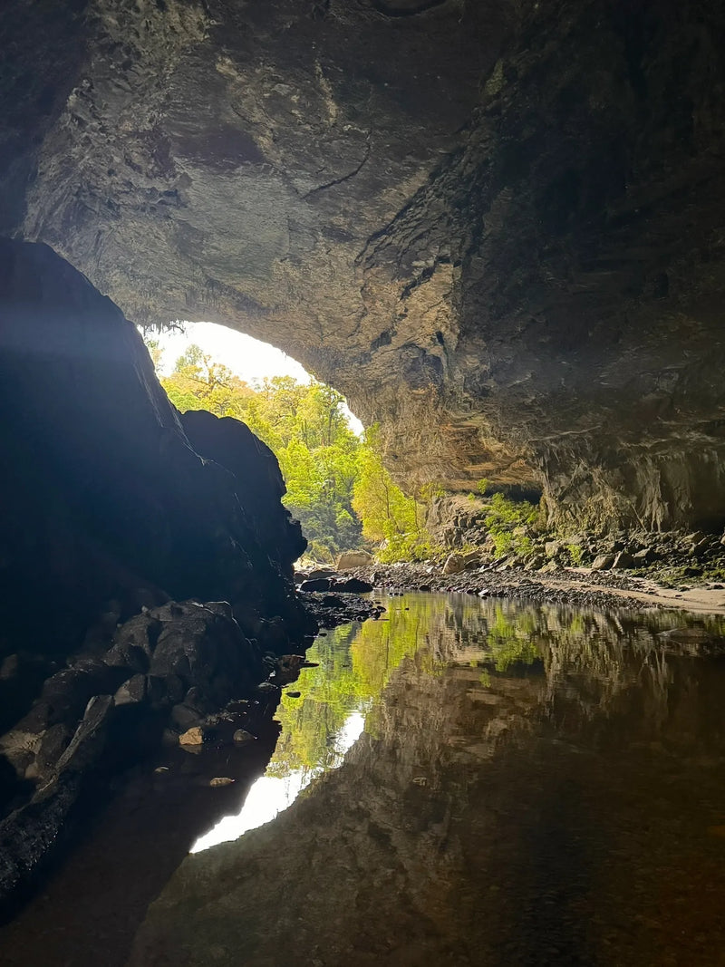 Oparara Arches