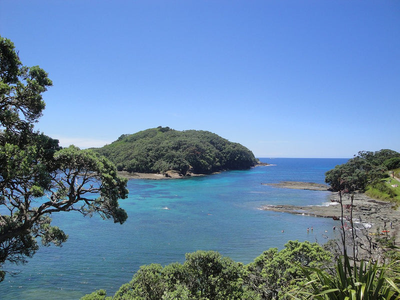 Goat Island