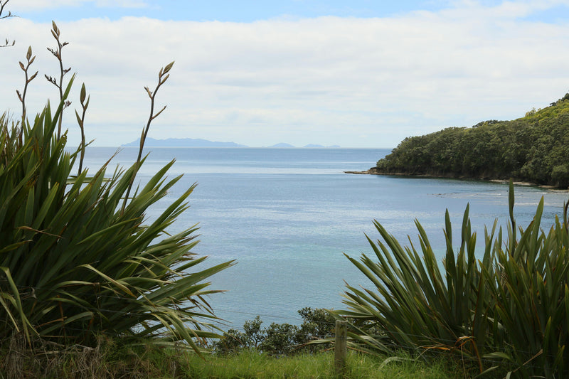 Waiheke Island