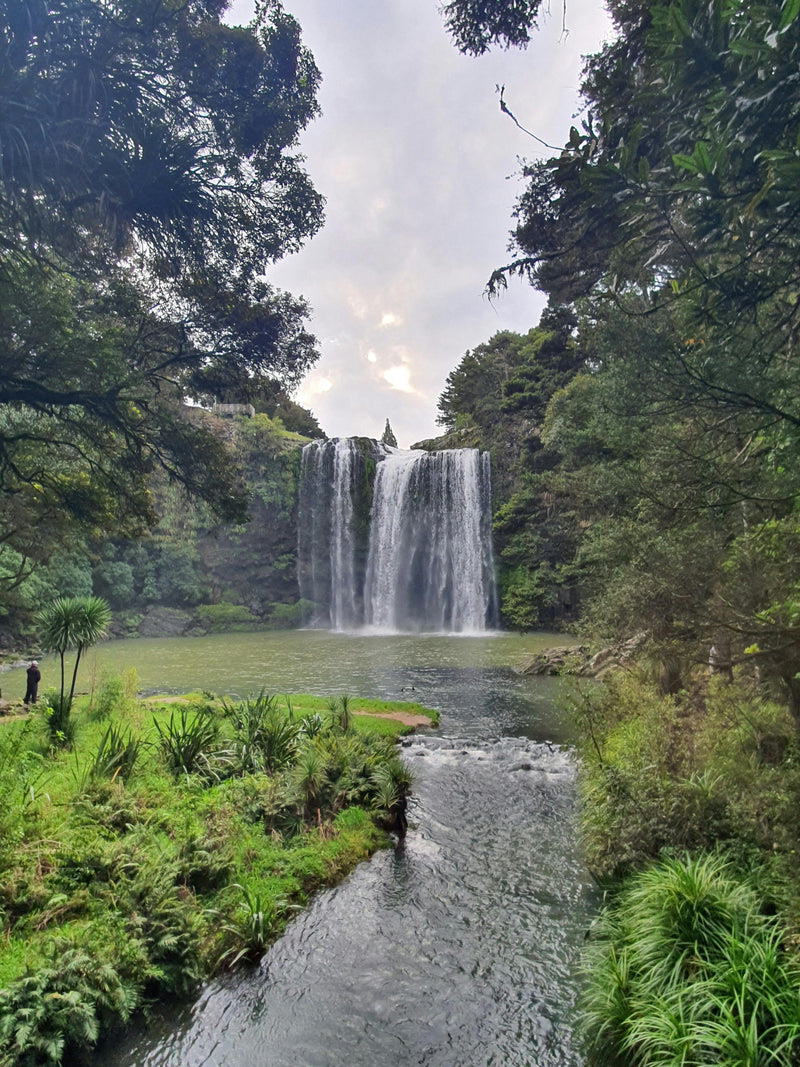 Whangarei Falls