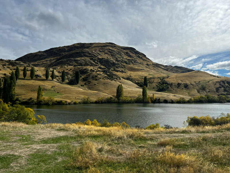 Queenstown Hill